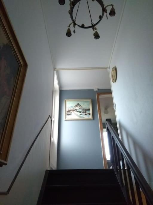 SkjervoyJoey'S公寓 外观 照片